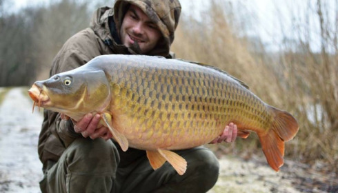 A carp from Brocard Large, Swim 5, Feb 2017