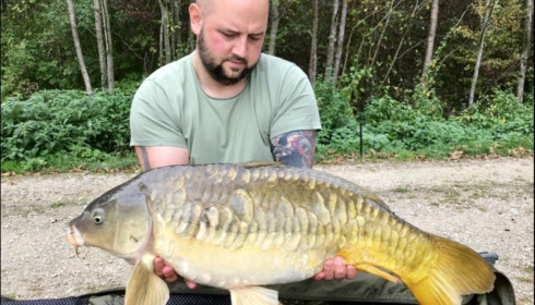 A carp from Brocard Large, Sep 2019