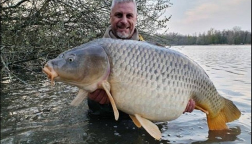 A carp from Brocard Large, Apr 2019