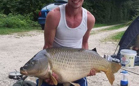 A carp from Brocard Large, Swim 6, Jul 2014