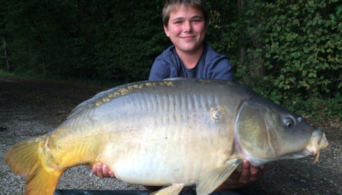 A carp from Brocard Large, Swim 8, Aug 2015