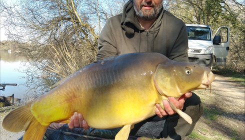 A carp from Brocard Large, Mar 2019