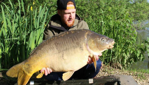 A carp from Brocard Large, May 2018