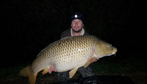 A carp from Brocard Large, Apr 2019