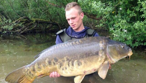A carp from Brocard Large, Swim 10, Jun 2015