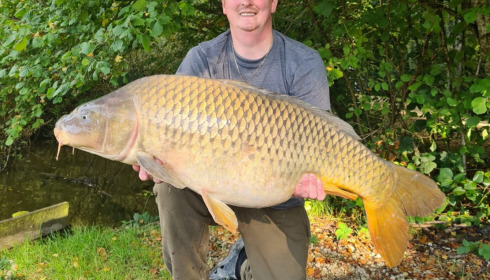 A carp from Brocard Large, Sep 2021
