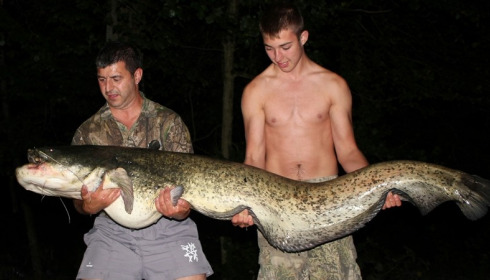 A 85 lb 8 oz catfish from Brocard Small, SÃ¶ren & Alex, Aug 2014