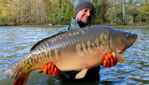 A carp from Brocard Small, Nov 2016