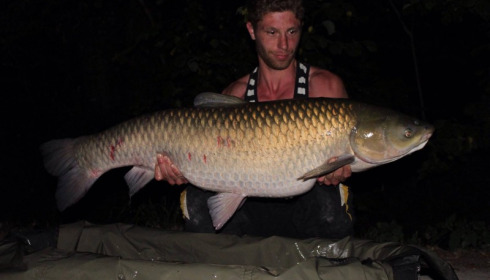 A grass carp from Brocard Small, Jul 2015