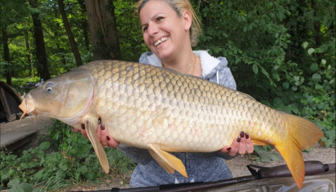 A carp from Brocard Small, Aug 2019