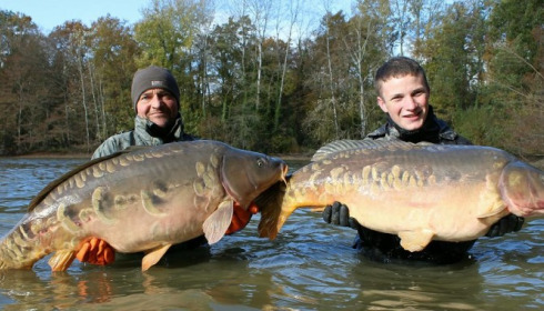 A carp from Brocard Small, Nov 2016