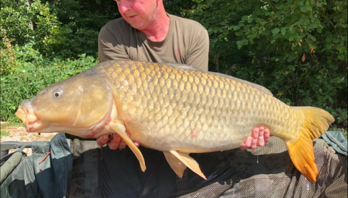 A carp from Brocard Small, Aug 2019