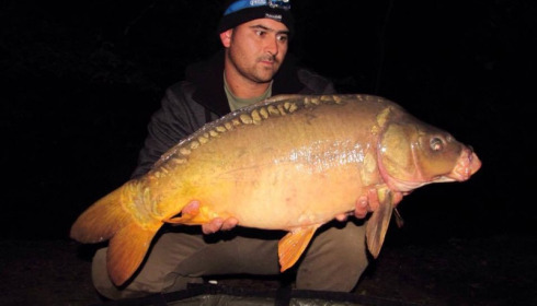 A carp from Brocard Small, Swim 2, Oct 2015