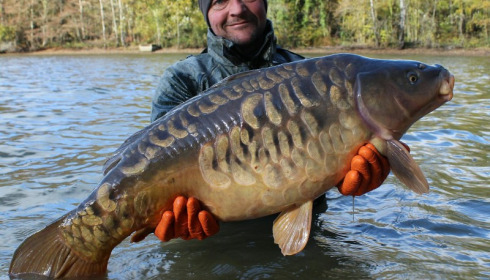 A carp from Brocard Small, Nov 2016