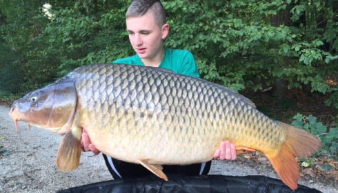 A carp from Brocard Small, Swim 3, Aug 2015