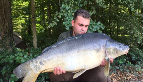 A carp from Brocard Small, Swim 3, Aug 2015