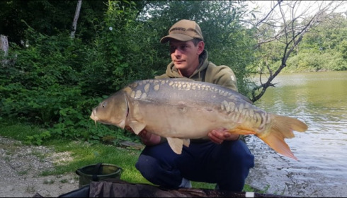 A carp from Brocard Small, Jun 2019