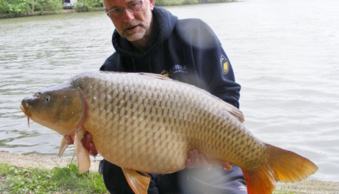 A carp from Brocard Small, Swim 4, May 2014