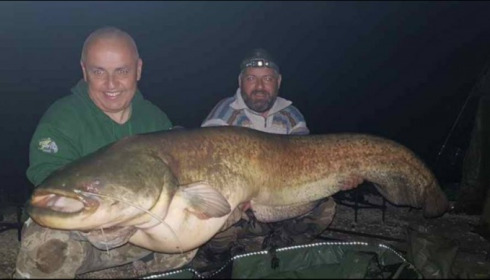A carp from Brocard Small, Apr 2019