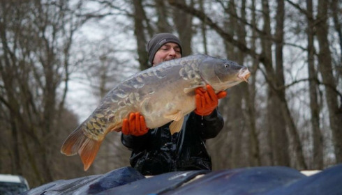 A carp from Brocard Small, Mar 2016