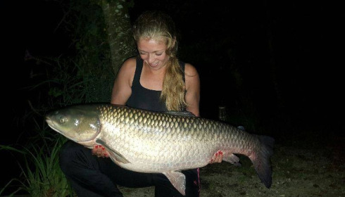 A grass carp from Brocard Small, Peg 3, Sep 2016