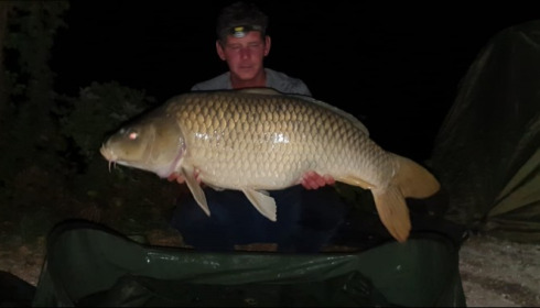 A carp from Brocard Small, Aug 2019