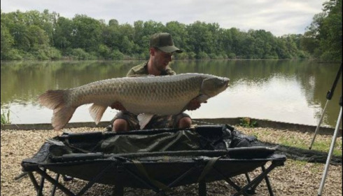 A carp from Brocard Small, Jun 2018
