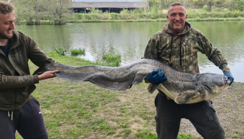 A fish from Brocard Small, Jul 2018