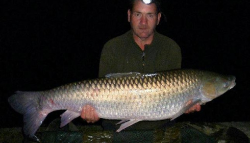 A grass carp from Brocard Small, Swim 4, Sep 2017