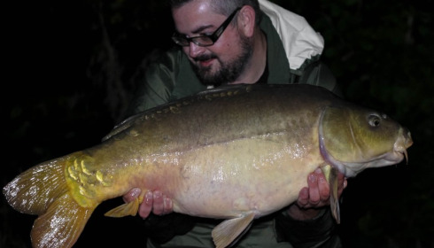 A carp from Brocard Small, Andrew Gilbert, Oct 2017