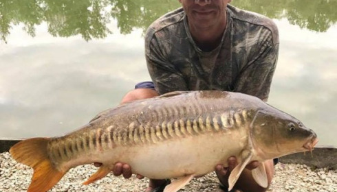 A carp from Brocard Small, Jun 2017