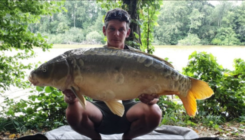 A carp from Brocard Small, Aug 2019