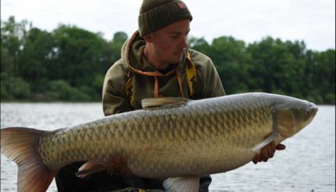 A grass carp from Brocard Small, Jun 2018