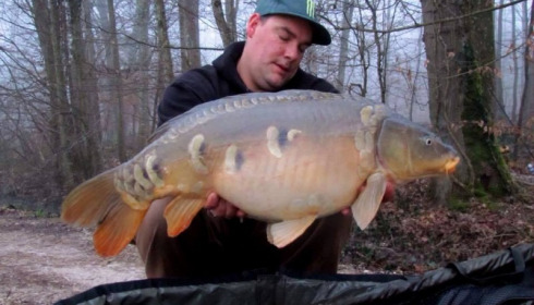 A carp from Brocard Small, Mar 2015
