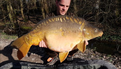 A carp from Brocard Small, Mar 2019