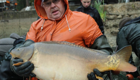 A carp from Brocard Small, Nov 2016