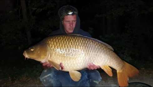 A carp from Brocard Small, Aug 2019