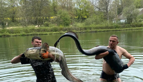 A fish from Brocard Small, Jul 2018