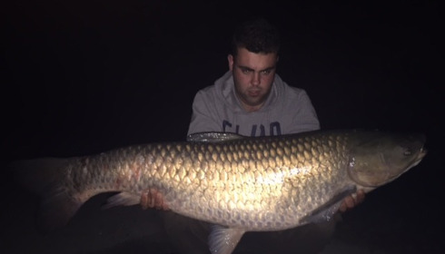 A grass carp from Brocard Small, Swim 3, Aug 2015