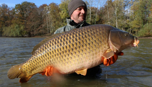 A carp from Brocard Small, Nov 2016