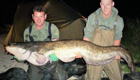 A catfish from Brocard Small, Swim 4, Sep 2017
