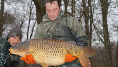 A carp from Brocard Small, Mar 2016