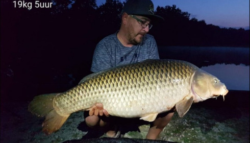 A carp from Brocard Small, Jun 2018