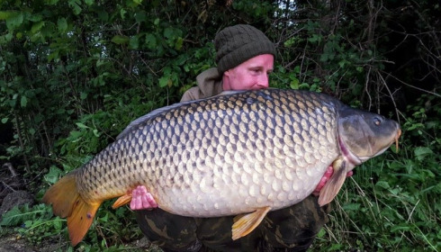 A carp from Brocard Small, Jun 2016