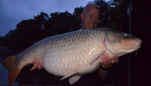 A carp from Brocard Small, Swim 2, Jun 2015