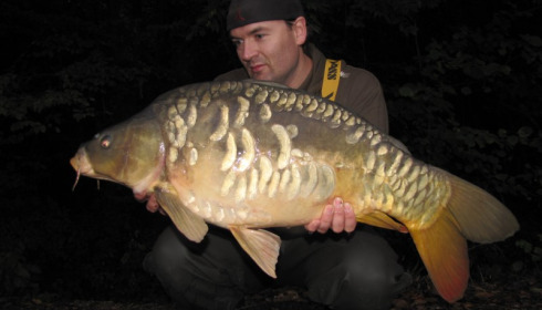 A carp from Brocard Small, Swim 2, Oct 2015