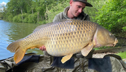 A carp from Brocard Small, May 2021