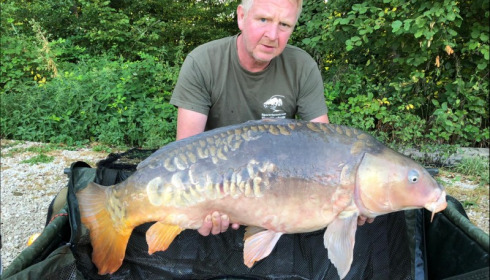 A carp from Brocard Small, Aug 2019