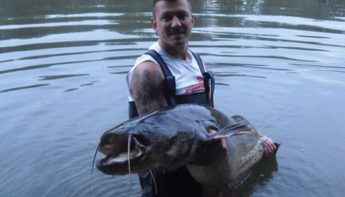 A catfish from Brocard Small, Swim 3, Jun 2015