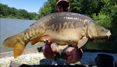 A carp from Brocard Small, Jun 2019